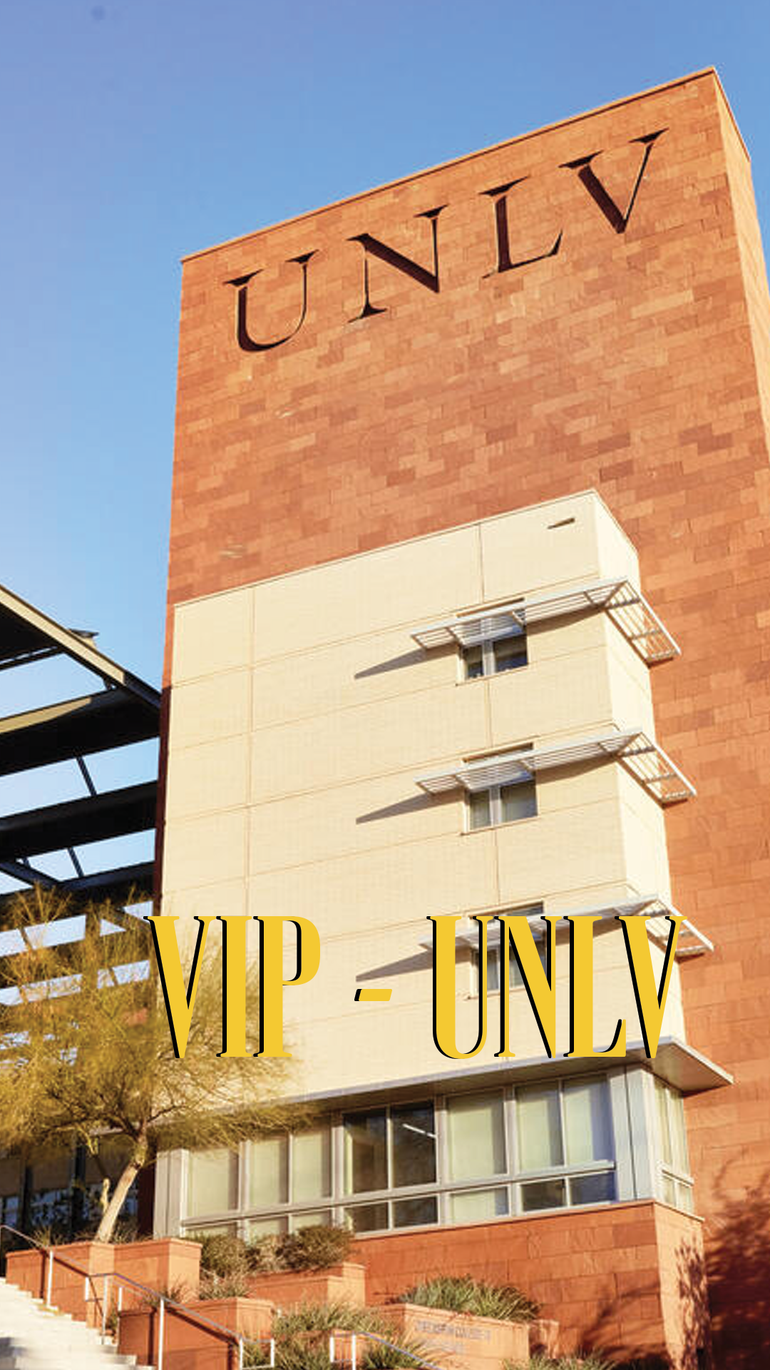 VIP General Offer preview